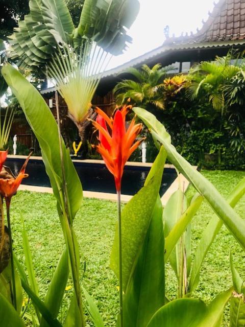 Отель Kayu Bali Чангу Экстерьер фото
